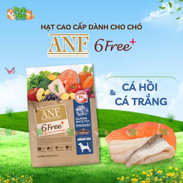Hạt cao cấp dành cho chó ANF 6FREE+