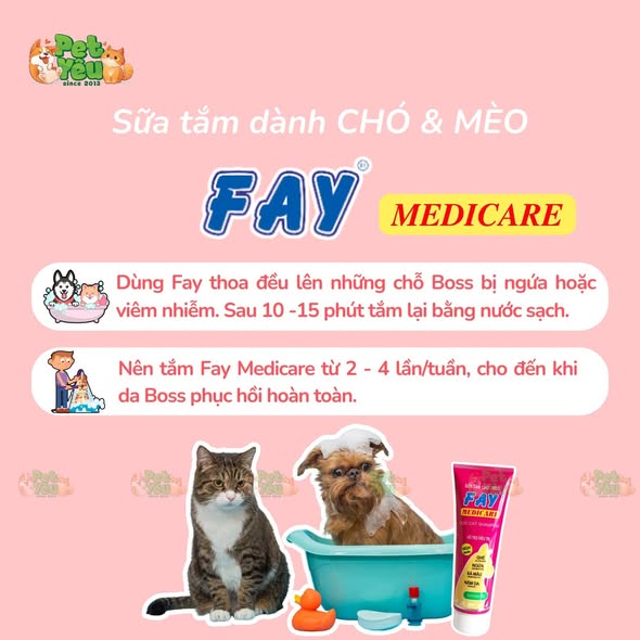 Sữa tắm Fay Medicare dành cho chó & mèo -290ML