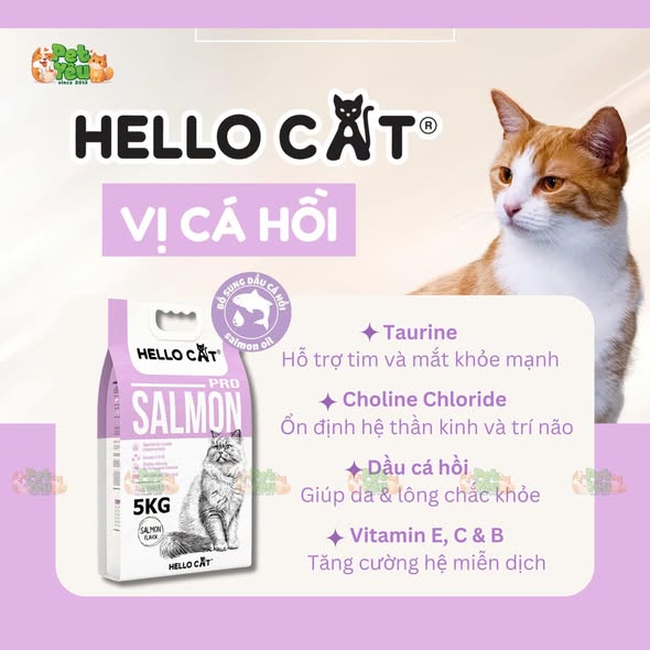 Hạt cho mèo Hello Cat xuất xứ Thái Lan