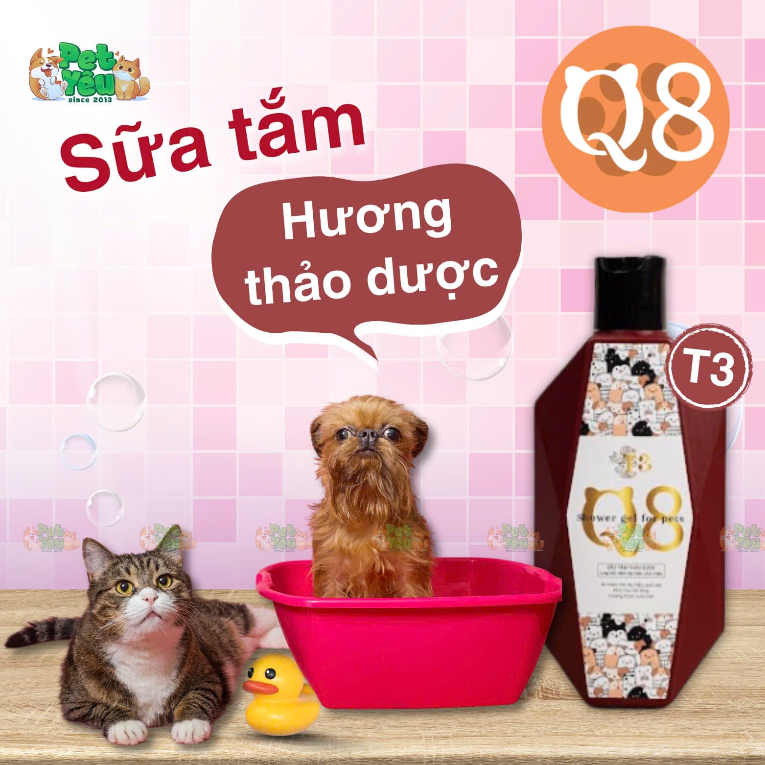 Sữa tắm dành cho chó, mèo Q8 - Chai 200ML