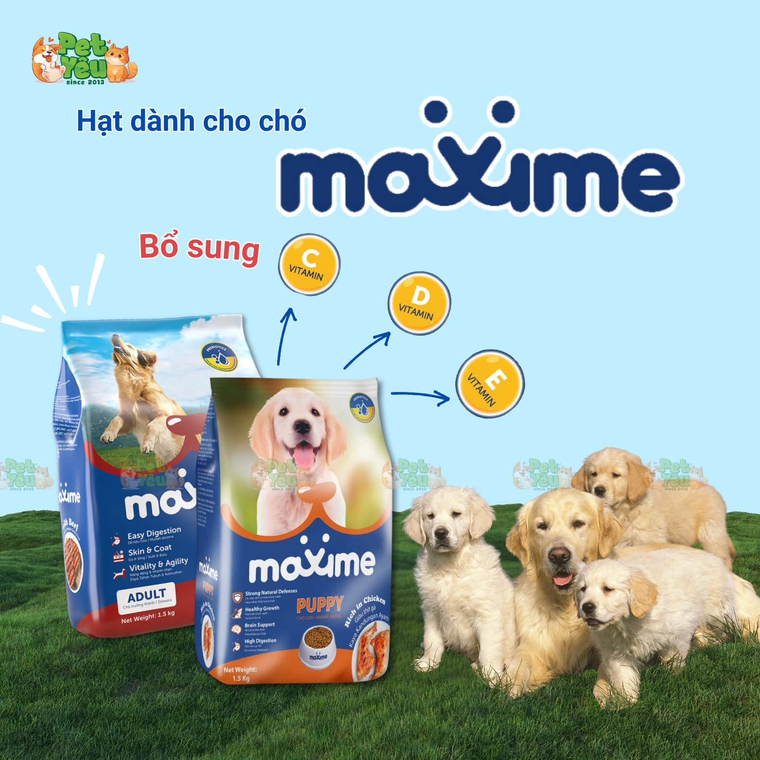 Thức ăn hạt dành cho chó Maxime đến từ Philippines
