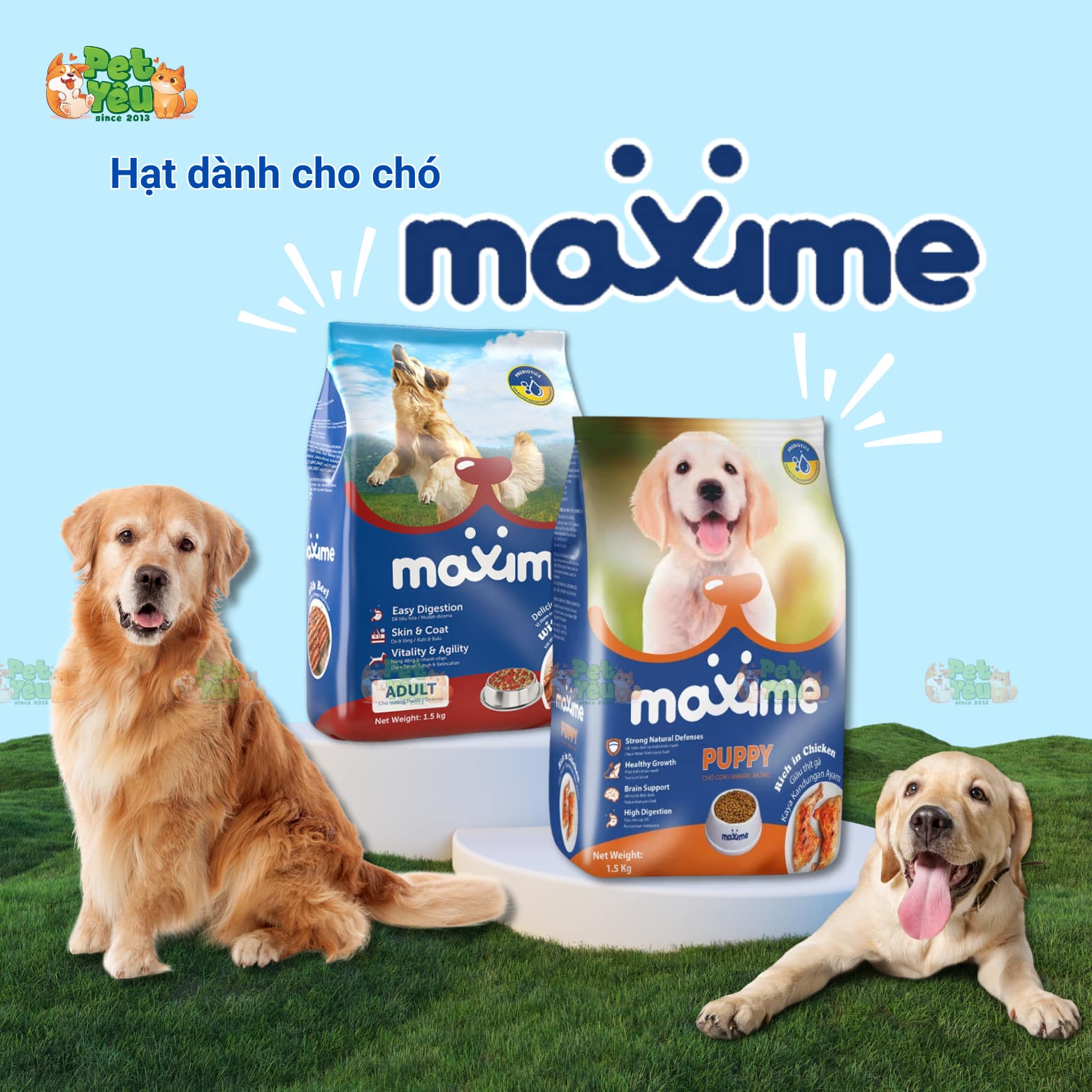 Thức ăn hạt dành cho chó Maxime đến từ Philippines