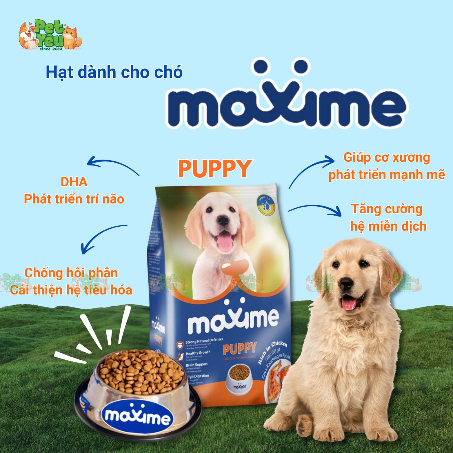 Thức ăn hạt dành cho chó Maxime đến từ Philippines