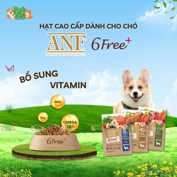 Hạt cao cấp dành cho chó ANF 6FREE+