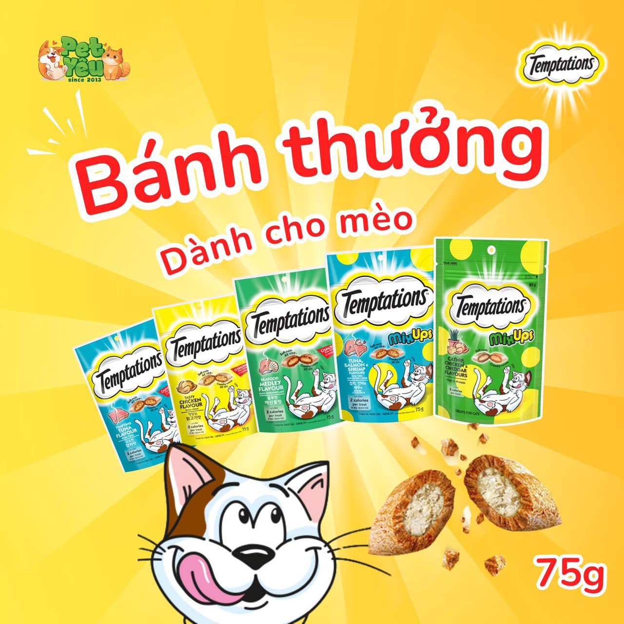 Bánh thưởng TEMPTATIONS dành cho mèo (Gói 75G)