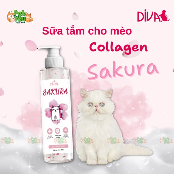 Sữa tắm DIVA COLLAGEN SAKURA dành cho mèo