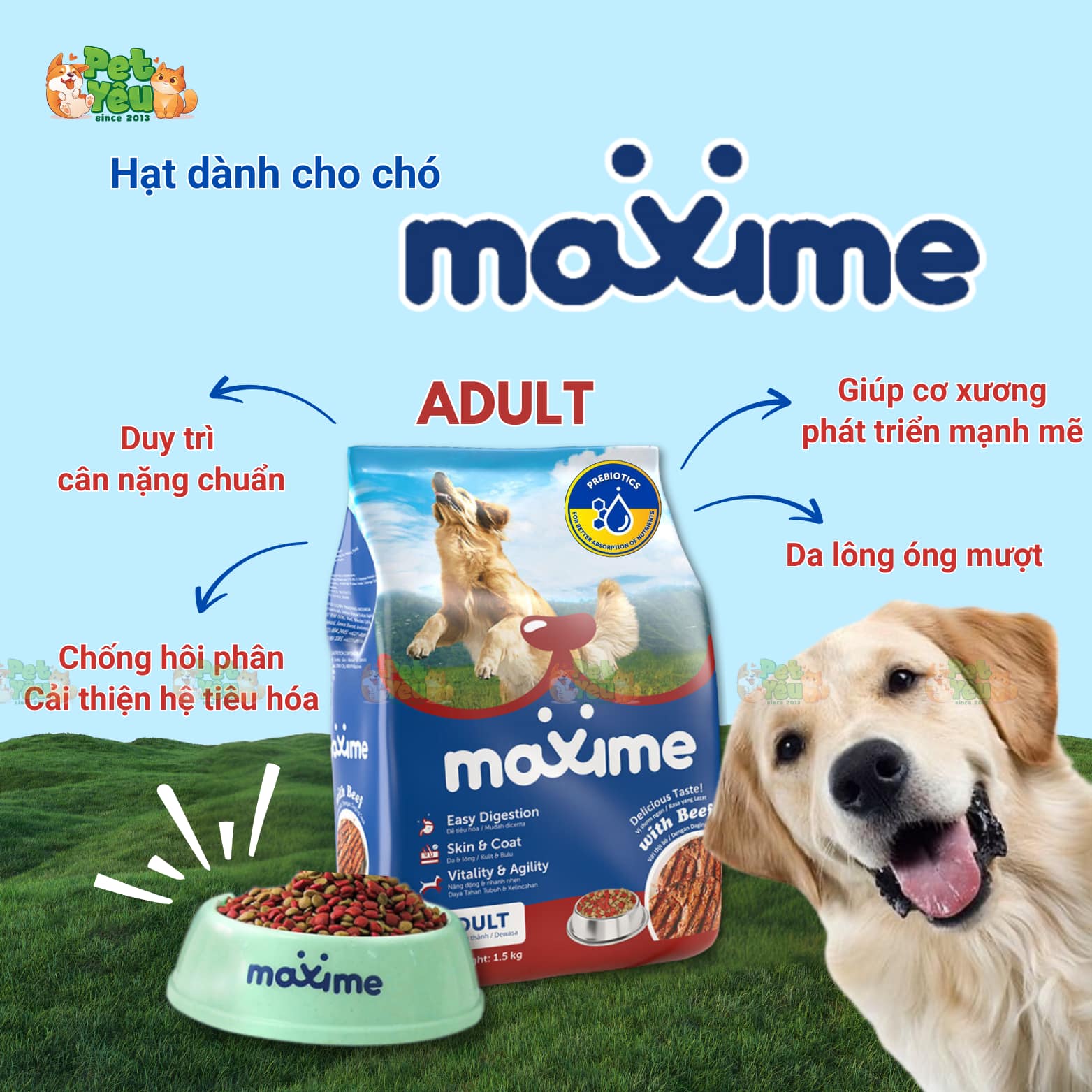 Thức ăn hạt dành cho chó Maxime đến từ Philippines