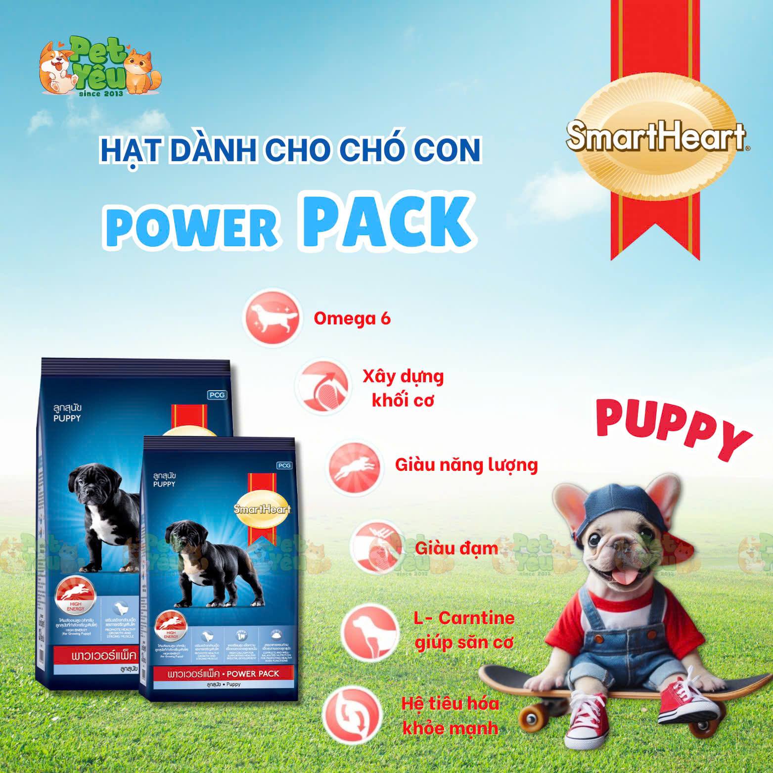 THỨC ĂN HẠT KHÔ CHO CHÓ GIÚP TĂNG CƠ BẮP - SMARTHEART POWER