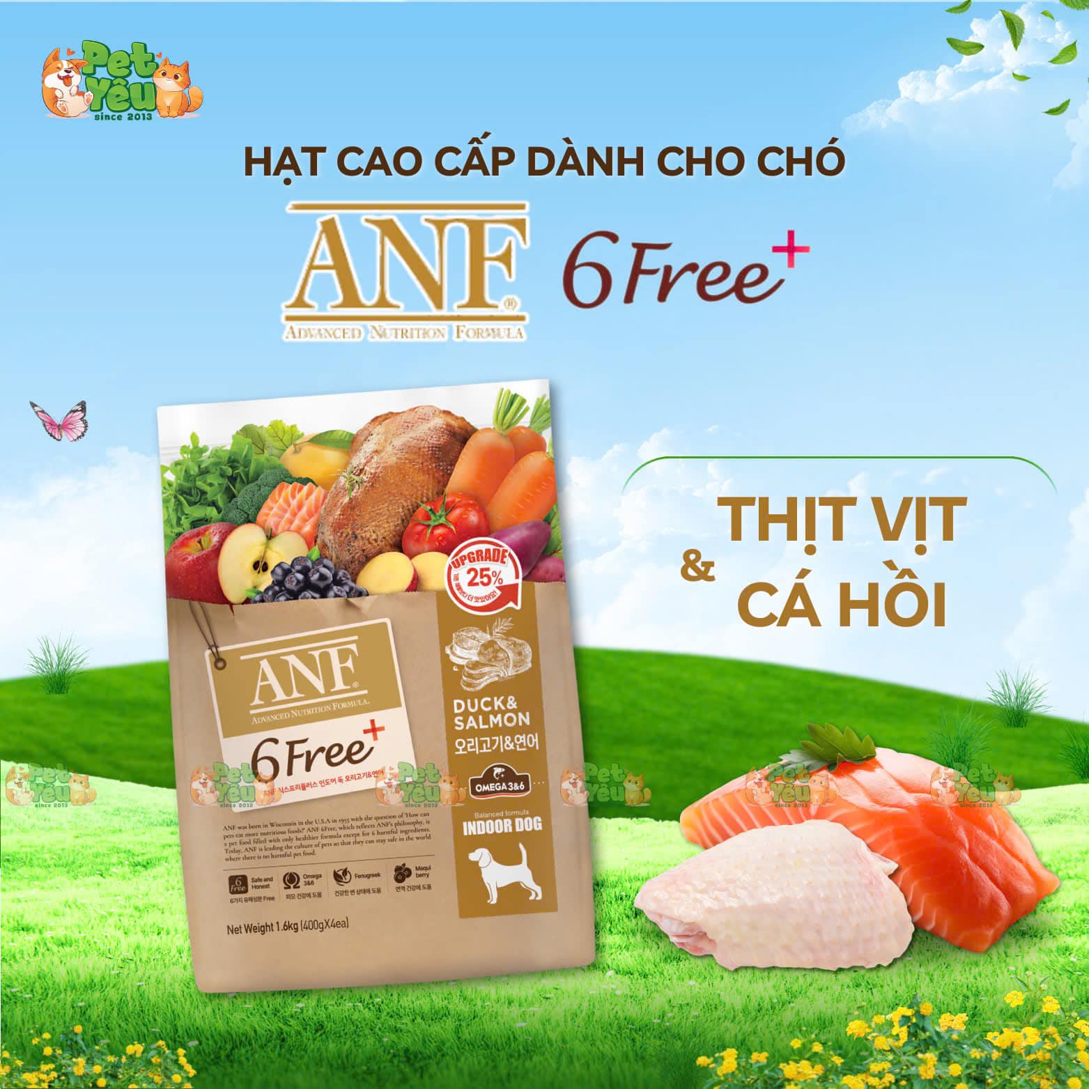 Hạt cao cấp dành cho chó ANF 6FREE+