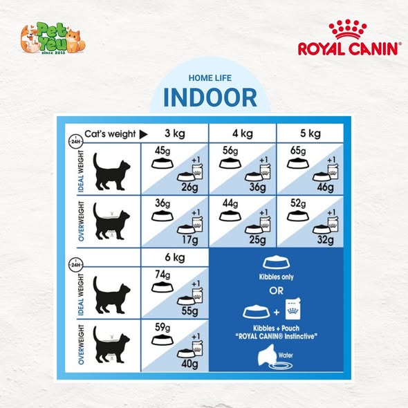 Thức ăn hạt Royal Canin Indoor cho mèo trưởng thành nuôi trong nhà