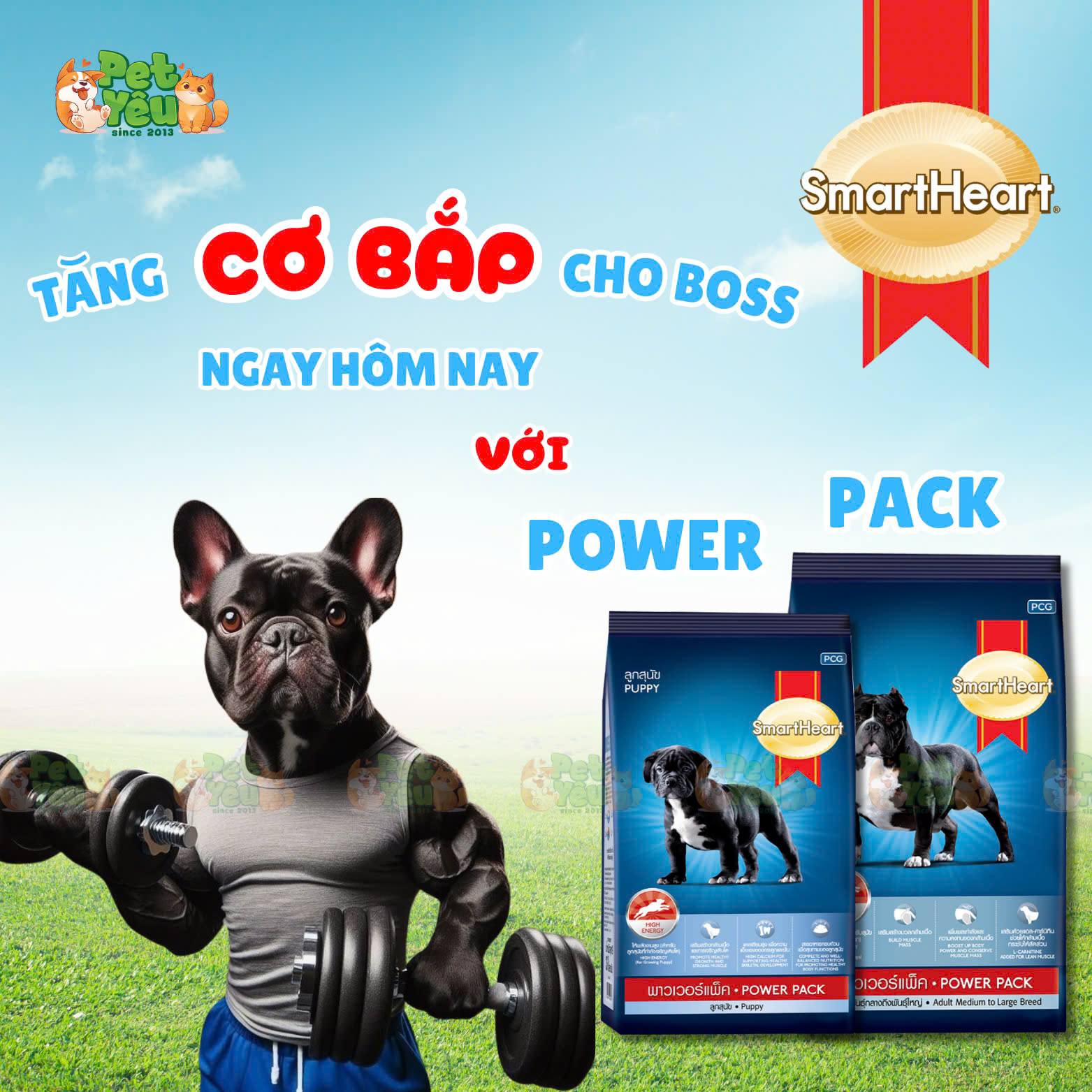 THỨC ĂN HẠT KHÔ CHO CHÓ GIÚP TĂNG CƠ BẮP - SMARTHEART POWER