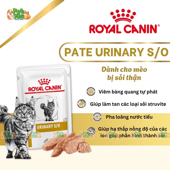 Pate Royal Canin Urinary S/O dành cho mèo bị sỏi thận ( Túi 85G)