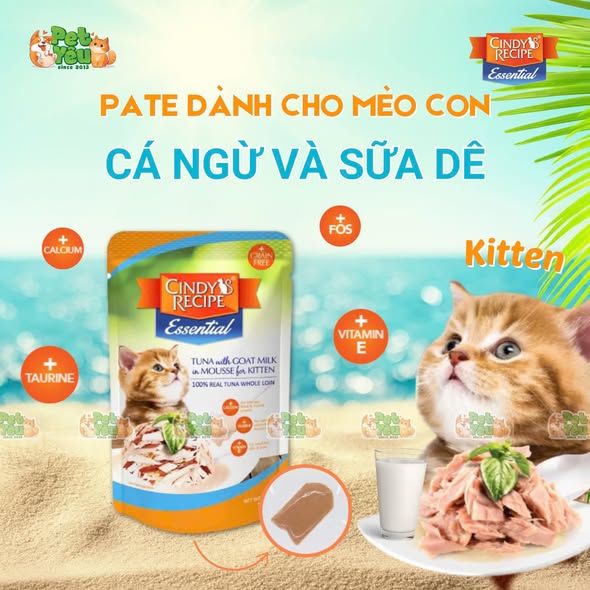 Pate cho mèo Cindy Recipe 70G