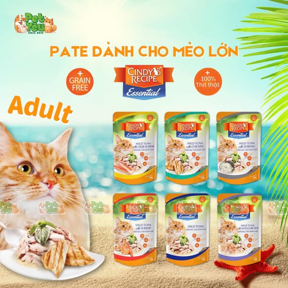 Pate cho mèo Cindy Recipe 70G