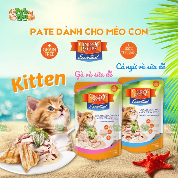 Pate cho mèo Cindy Recipe 70G