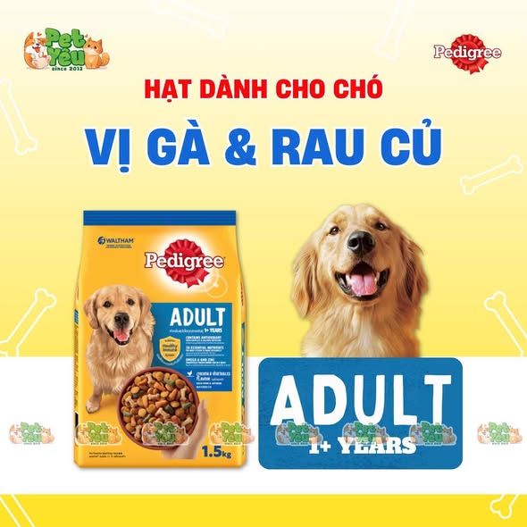Thức ăn hạt Pedigree dành cho chó lớn - Túi 500Gr và 3Kg