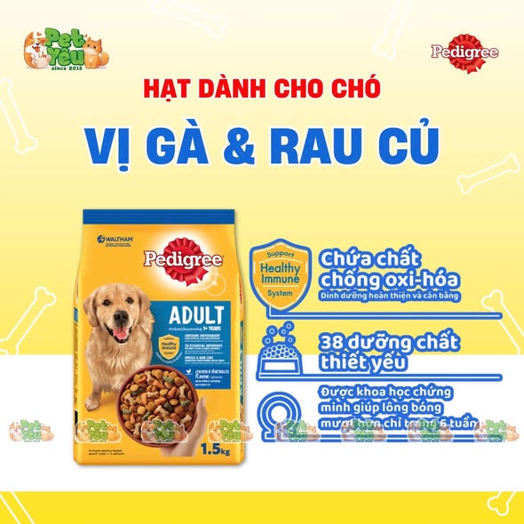 Thức ăn hạt Pedigree dành cho chó lớn - Túi 1,5Kg
