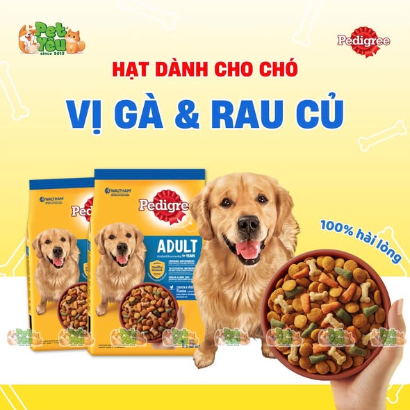 Thức ăn hạt Pedigree dành cho chó lớn - Túi 1,5Kg