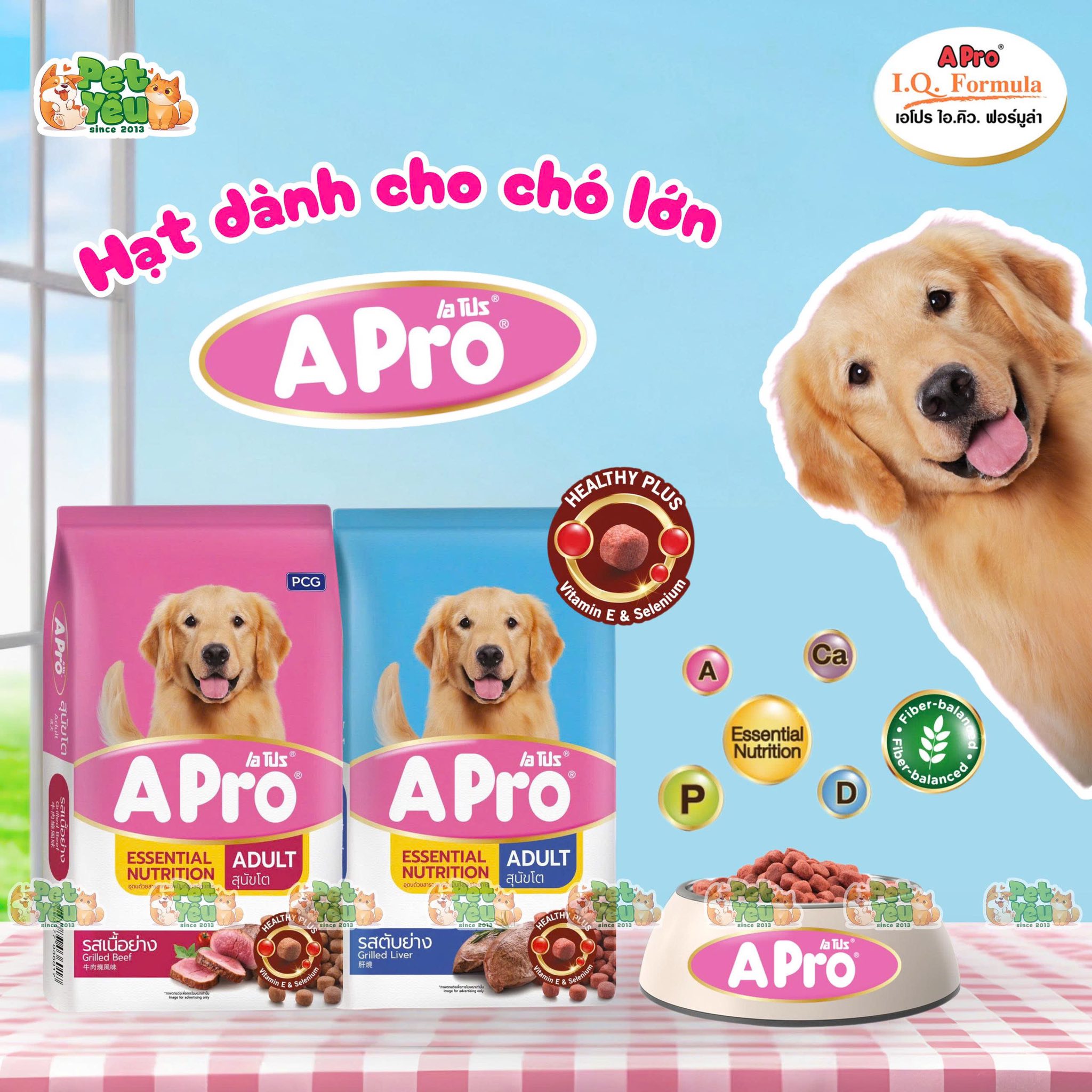 Thức ăn Hạt A-Pro cho chó ở mọi độ tuổi