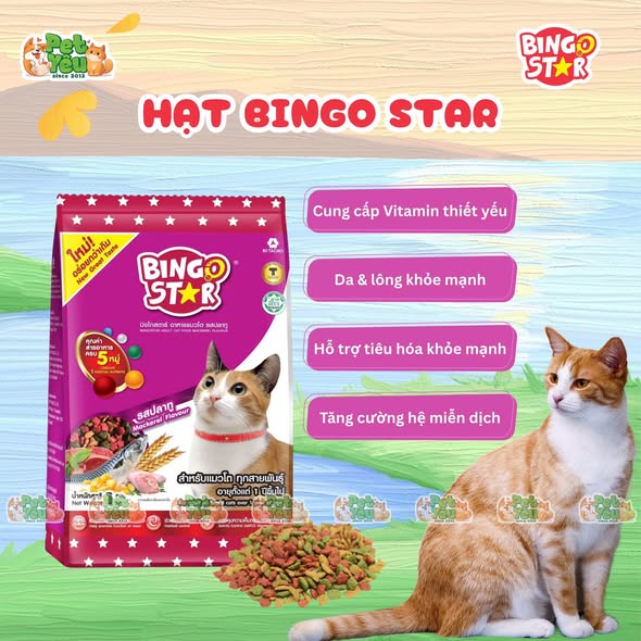 Hạt cho mèo  Bingo Star từ Thái Lan