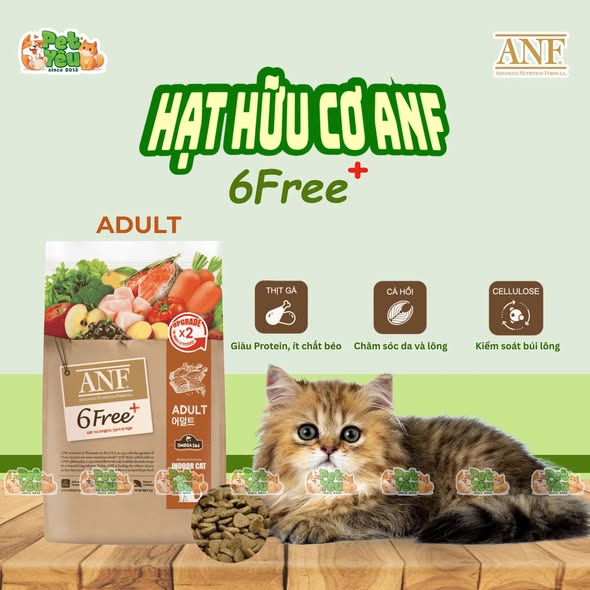 Thức ăn Hạt ANF Hữu Cơ dành cho mèo