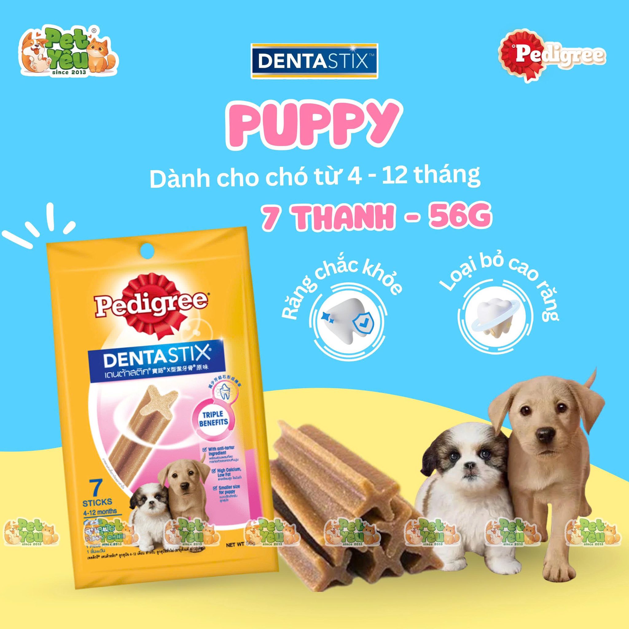 Xương gặm sạch răng Pedigree