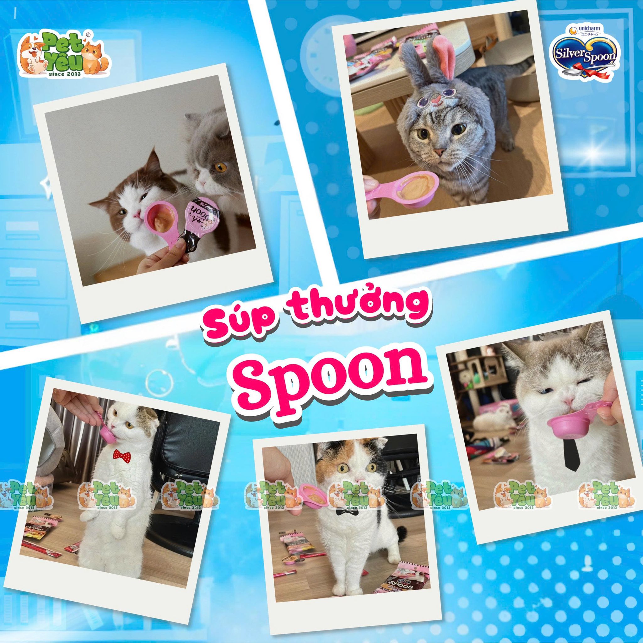 Súp thưởng cho mèo SILVER SPOON dạng thìa 