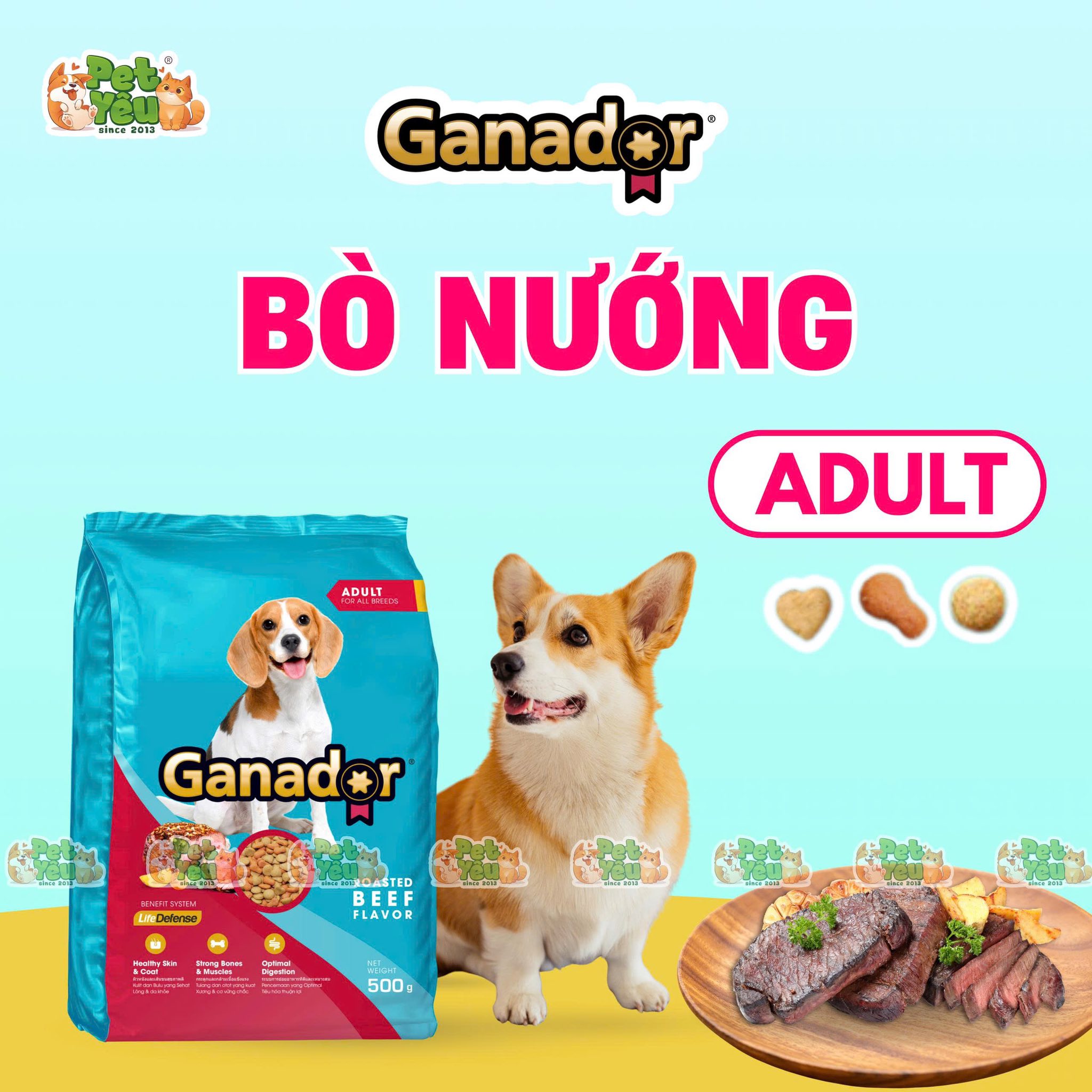 Hạt Ganador dành cho chó ( Bản thường)