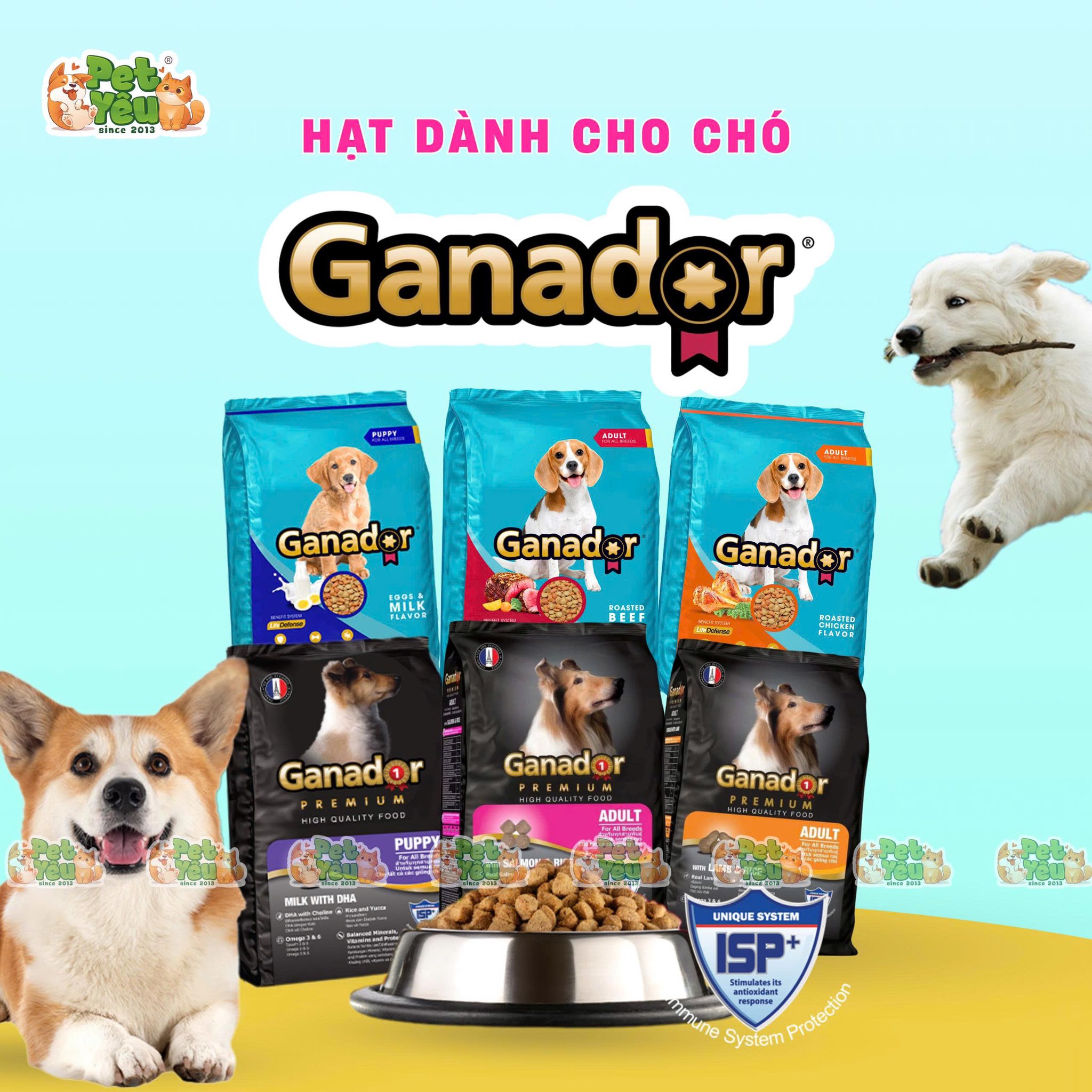 Hạt Ganador dành cho chó ( Bản thường)