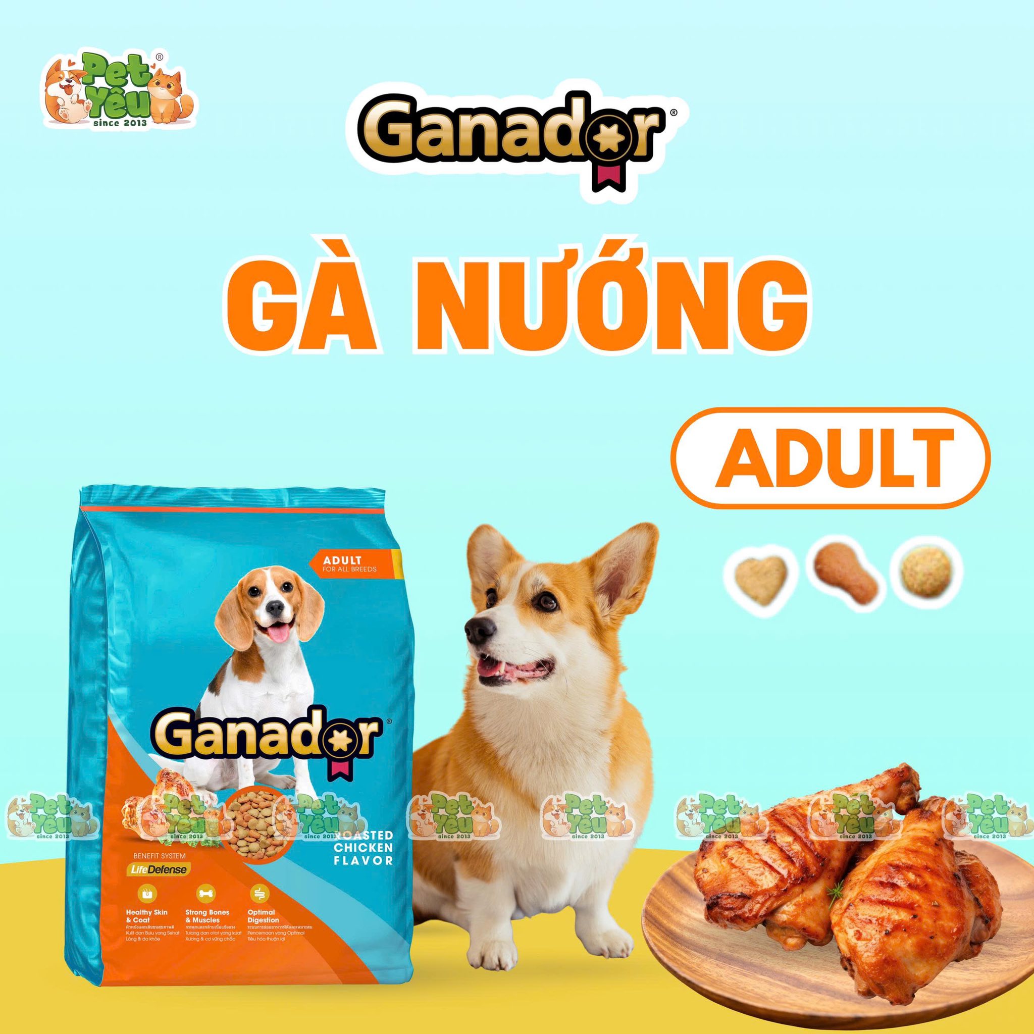 Hạt Ganador dành cho chó ( Bản thường)