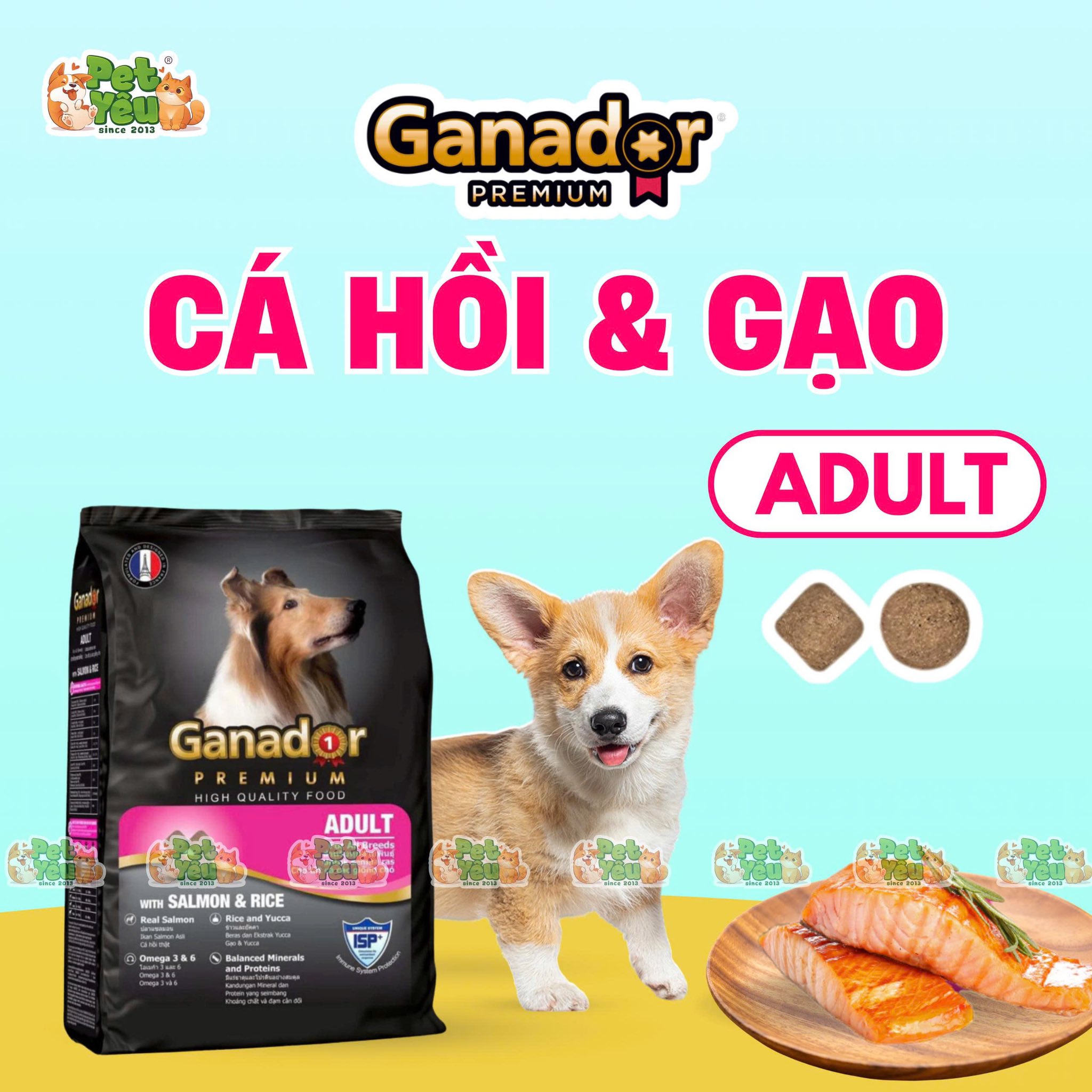 Hạt Ganador Premium dành cho chó