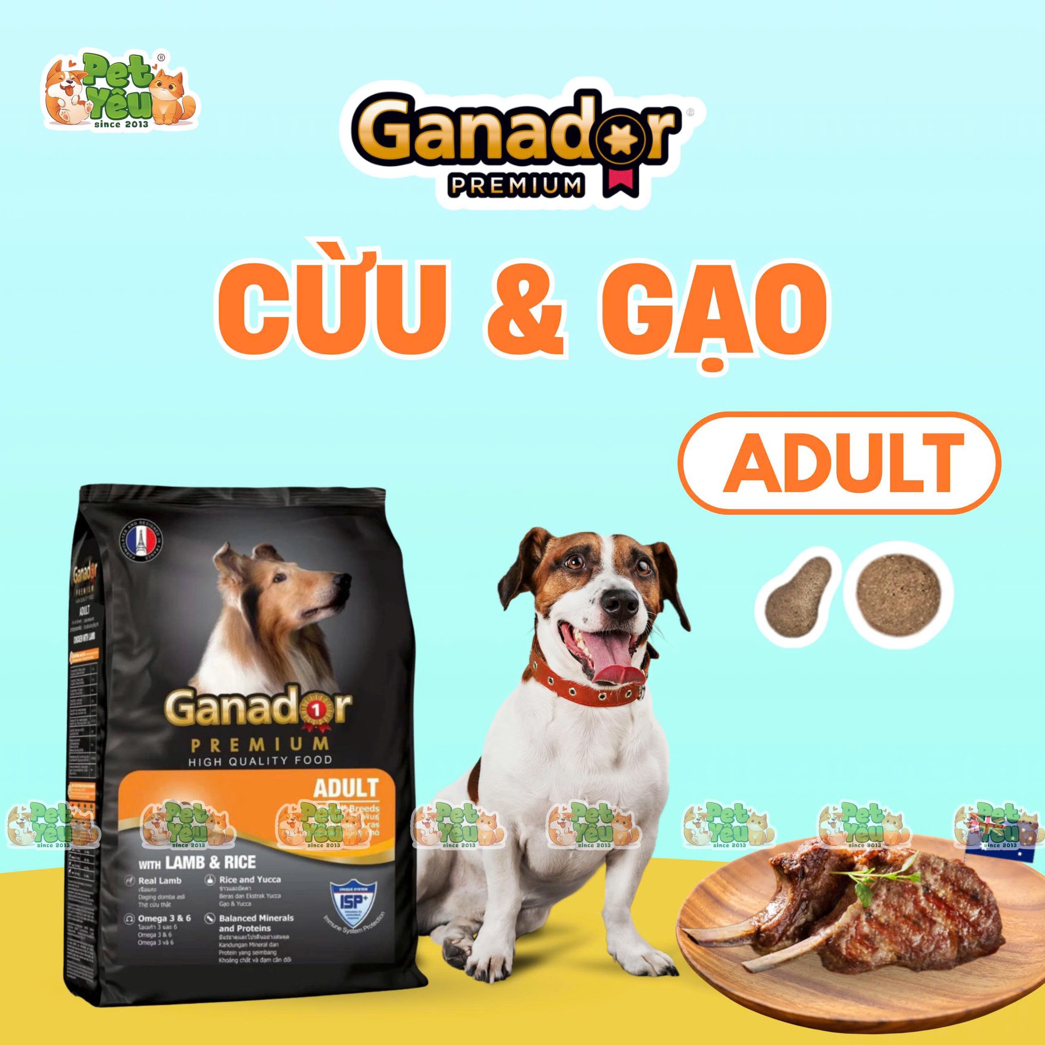 Hạt Ganador Premium dành cho chó