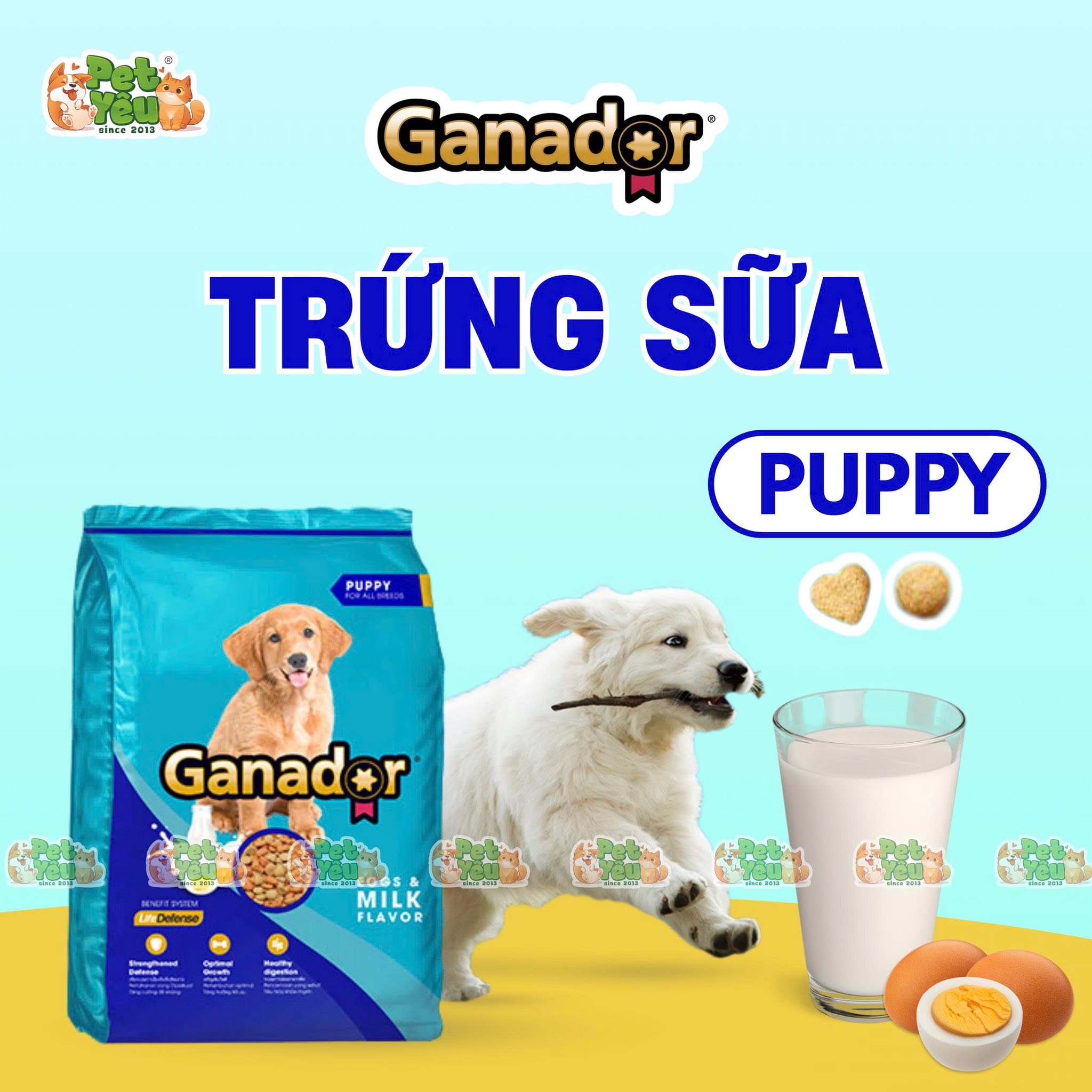 Hạt Ganador dành cho chó ( Bản thường)