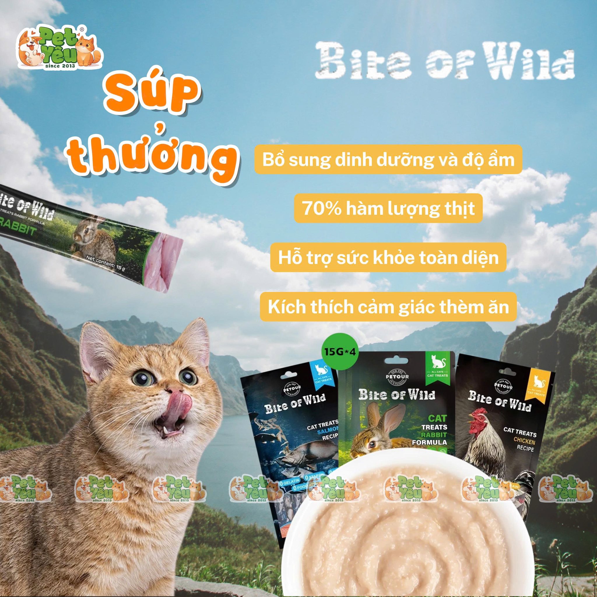 Súp thưởng Bite Of Wild cho mèo gói 60g (4 gói x 15g)