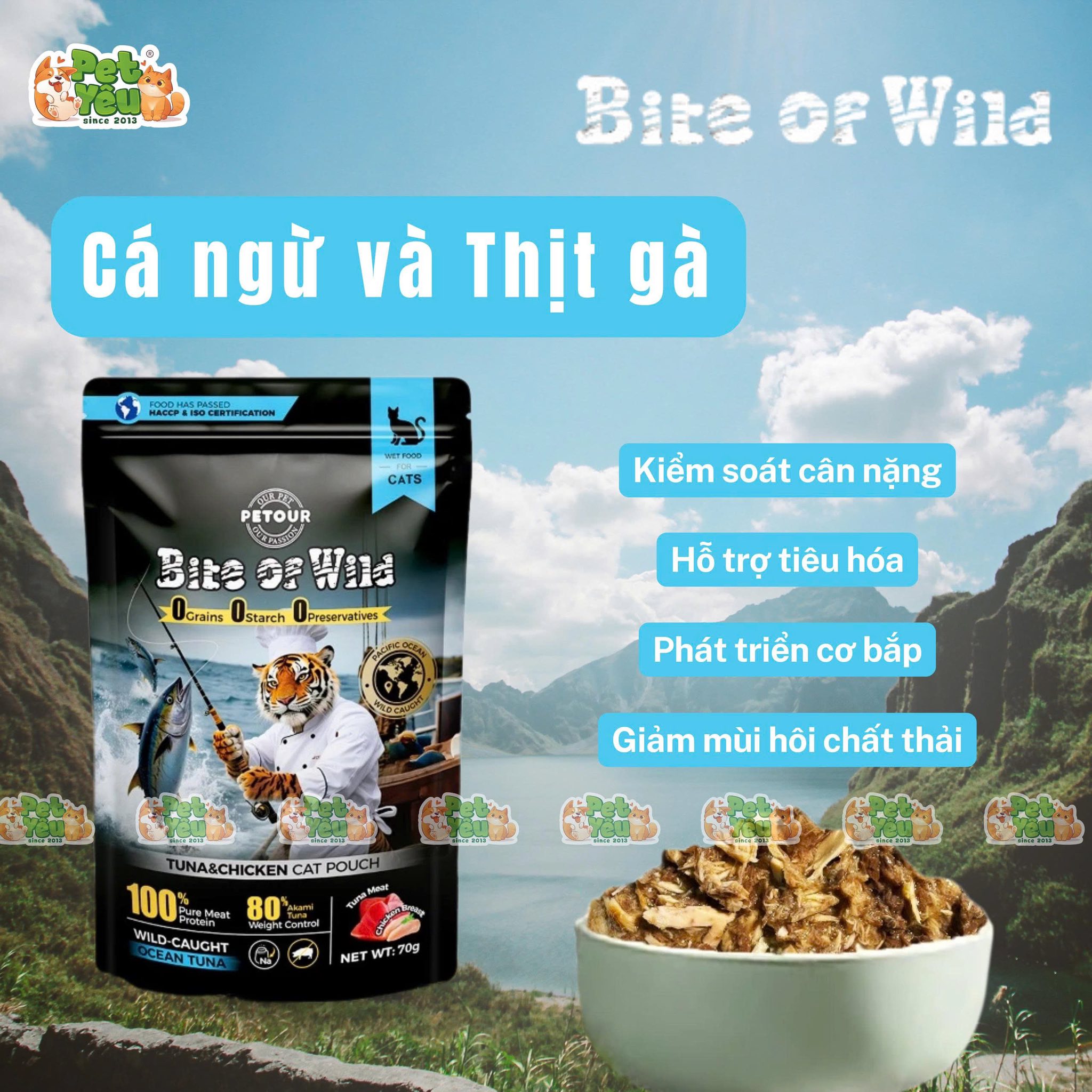 Pate mèo Bite Of Wild Dòng Giàu Protein + Ít Chất Béo (Túi 70g)
