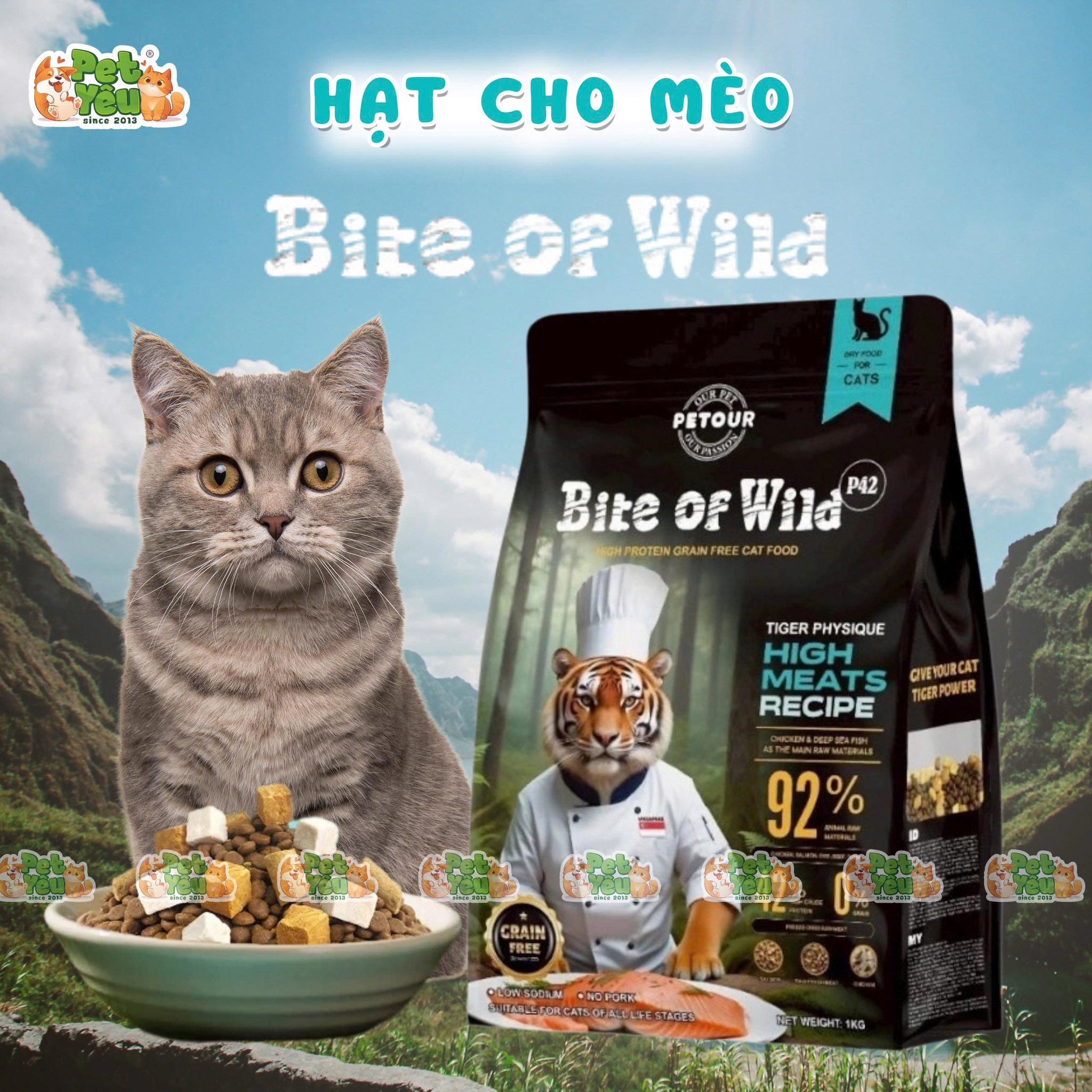 Hạt cho mèo Bite Of Wild P42