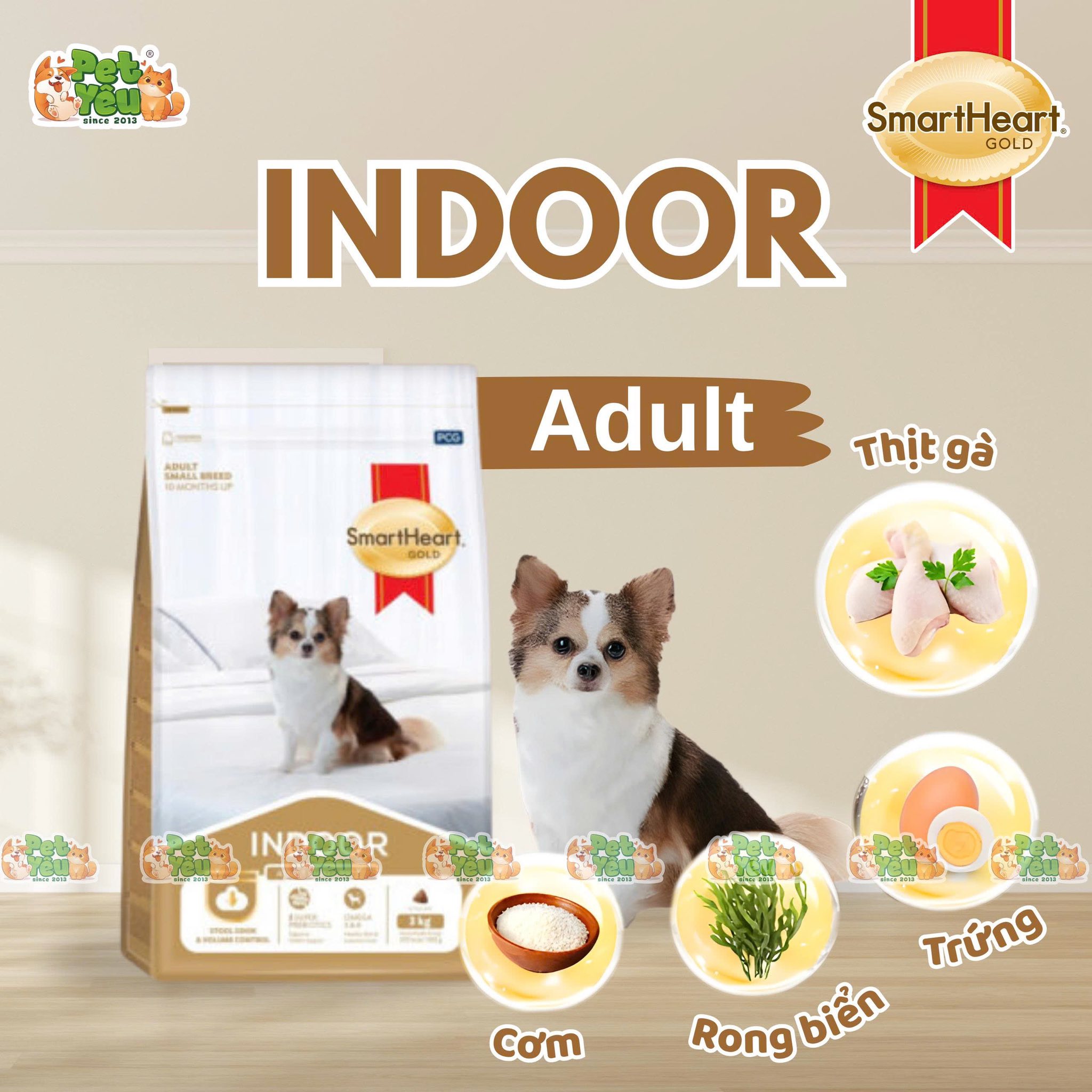 Hạt cho chó SMARTHEART GOLD INDOOR