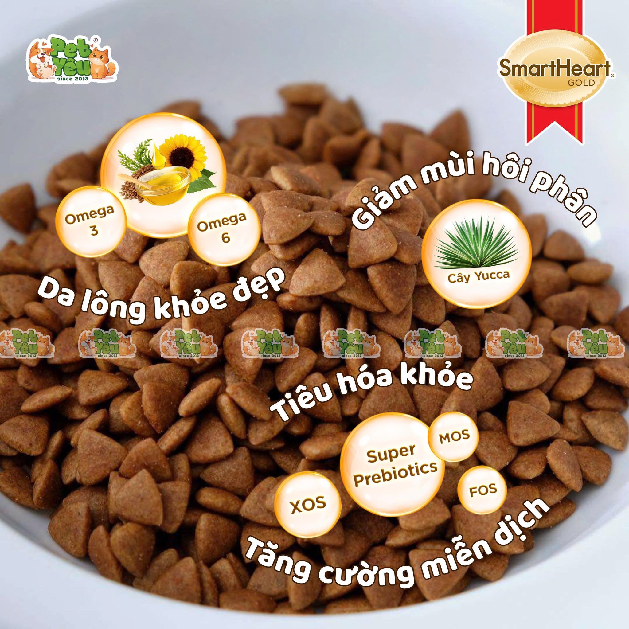 Hạt cho chó SMARTHEART GOLD INDOOR