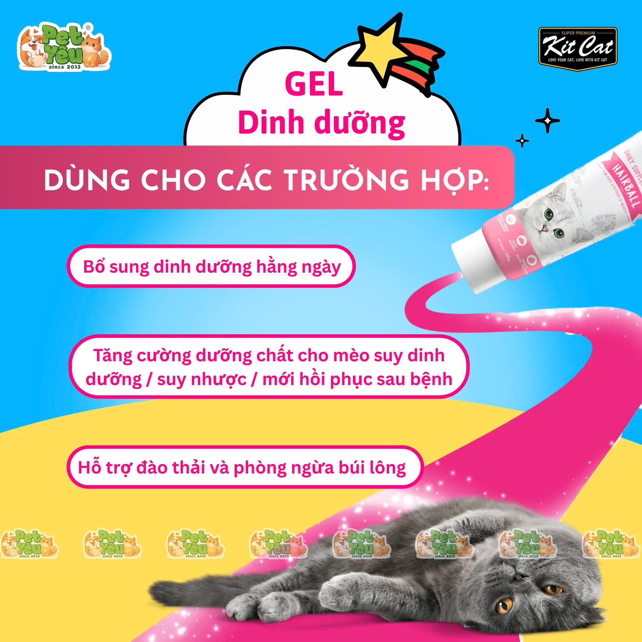 Gel dinh dưỡng KITCAT dành cho mèo tuýp 120g