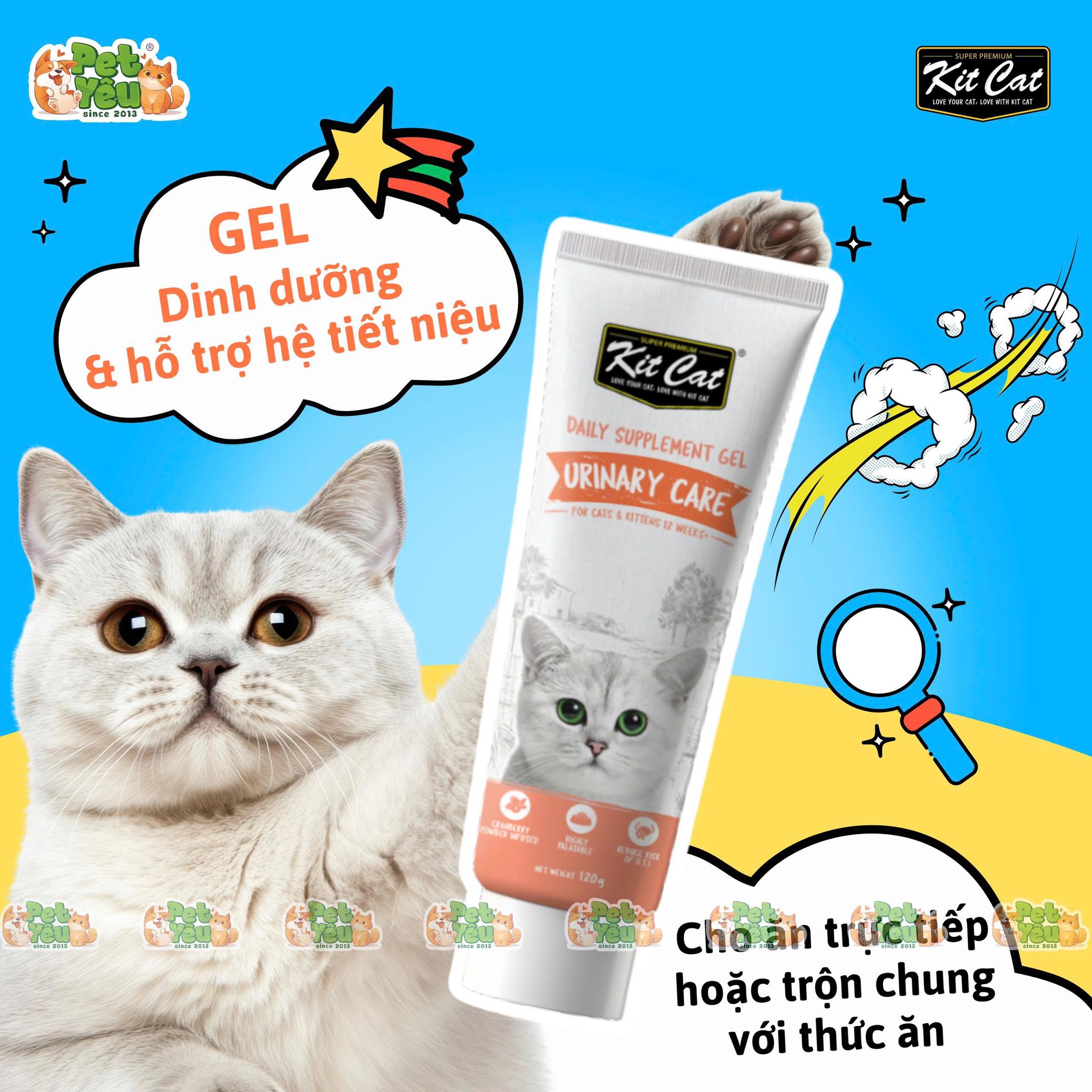 Gel dinh dưỡng KITCAT dành cho mèo tuýp 120g