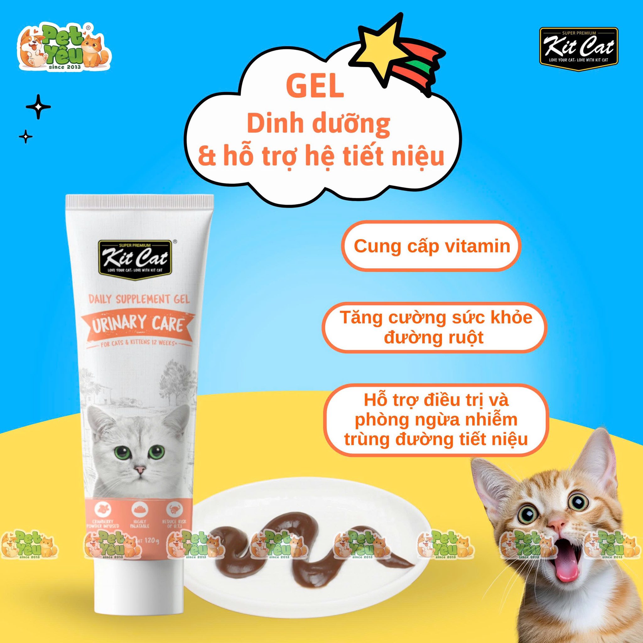 Gel dinh dưỡng KITCAT dành cho mèo tuýp 120g