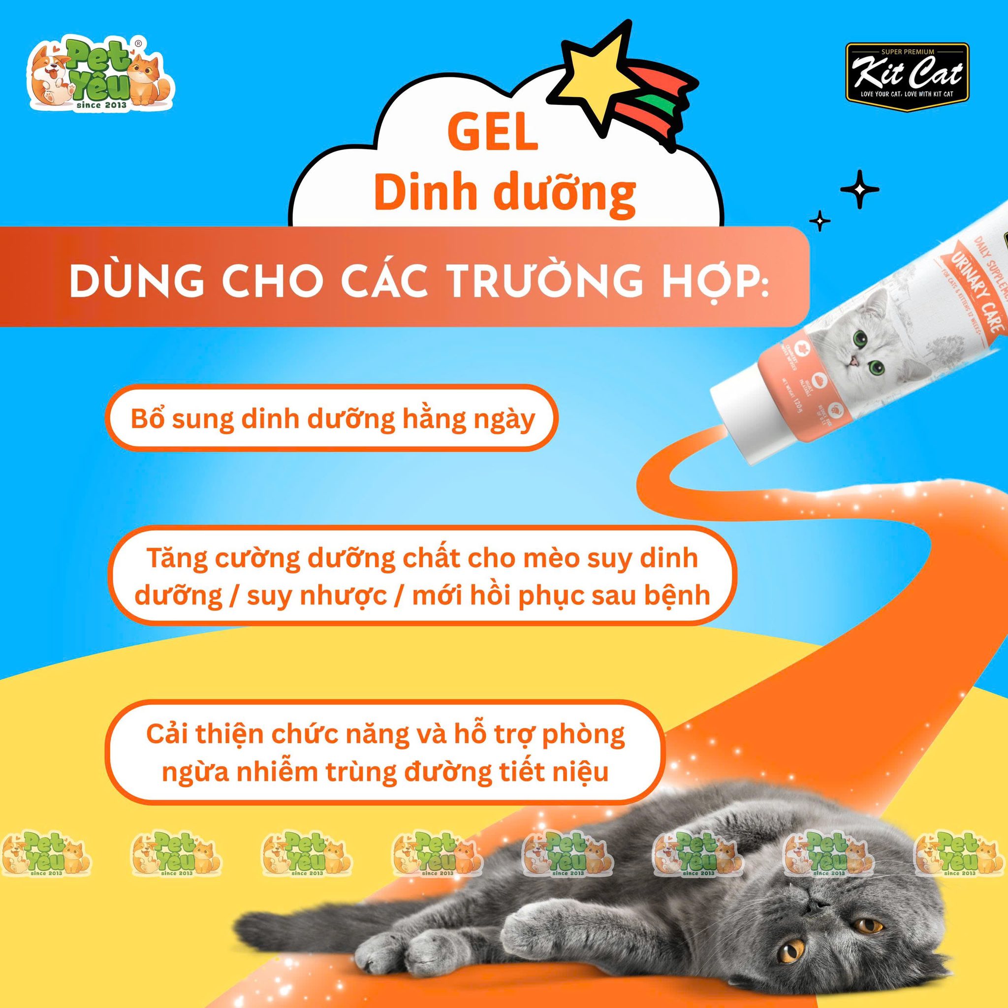 Gel dinh dưỡng KITCAT dành cho mèo tuýp 120g