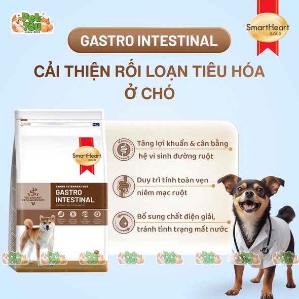 HẠT SMARTHEART GASTRO INTSTINA - CHO CHÓ GẶP VẤN ĐỀ TIÊU HÓA