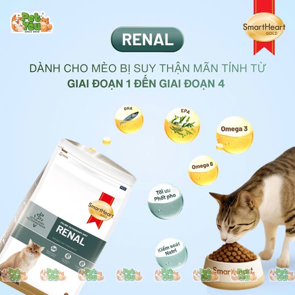 HẠT SMARTHEART RENAL- CHO MÈO SUY THẬN MÃN