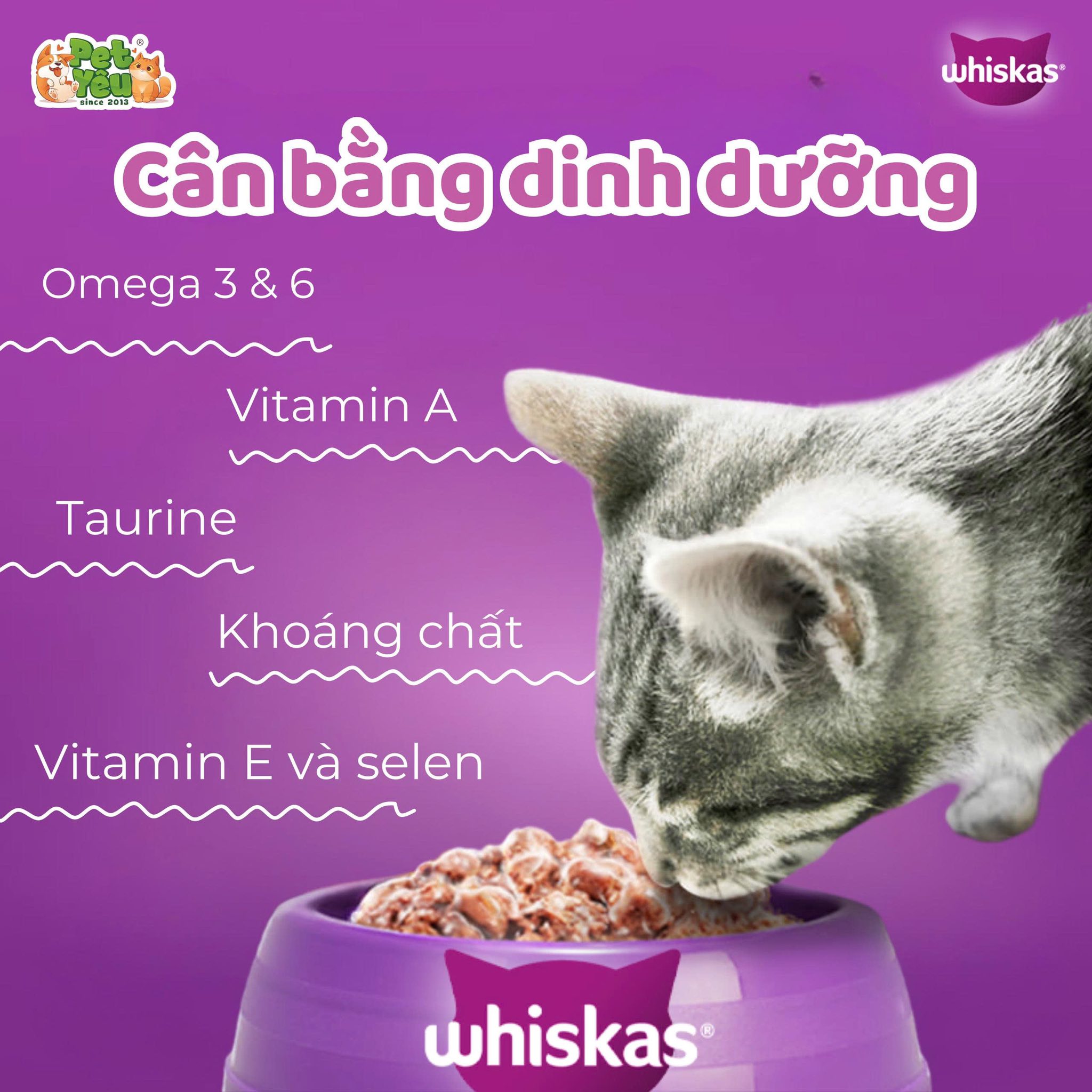 PATE WHISKAS CHO MÈO-TÚI 80G