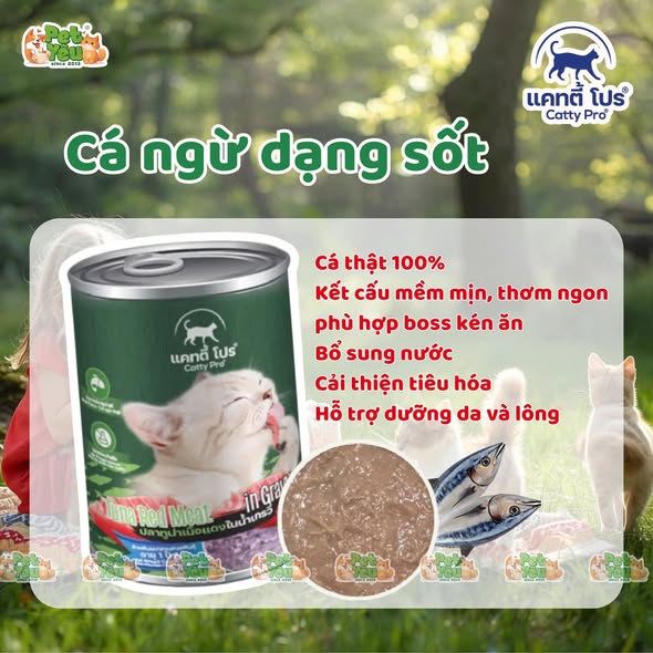 Thức ăn cho mèo Catty Pro