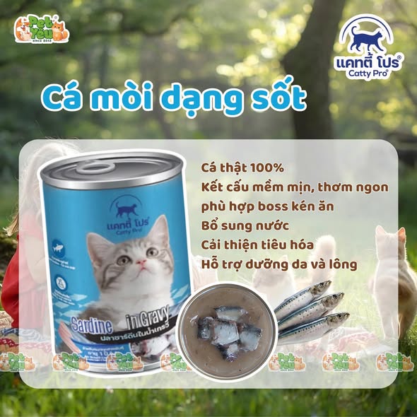 Thức ăn cho mèo Catty Pro