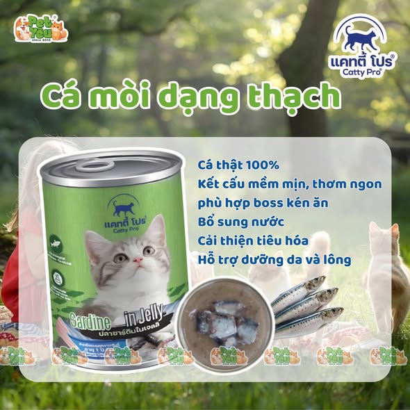 Thức ăn cho mèo Catty Pro