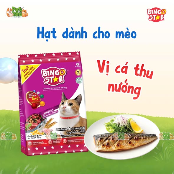 Hạt cho mèo  Bingo Star từ Thái Lan