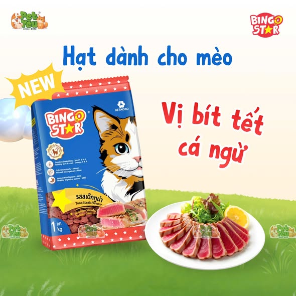 Hạt cho mèo  Bingo Star từ Thái Lan